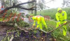 IMG-20251027-WA0020