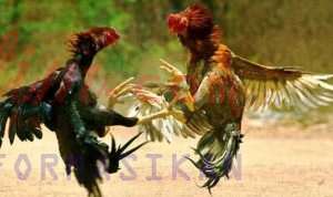 Screenshot_20251217_090414