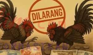 Screenshot_20260103_152743~2