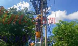 IMG-20260301-WA0006(1)