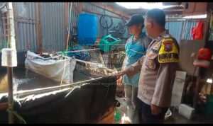 IMG-20260610-WA0203