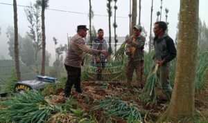 IMG-20260717-WA0029