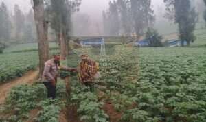 IMG-20260719-WA0075