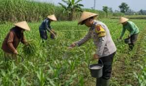IMG-20260720-WA0036