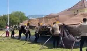 IMG-20260815-WA0155